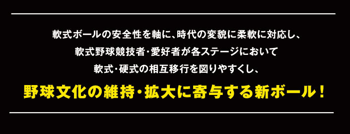 内外ベースボール 少年野球 軟式 公認球 M号 1ダース