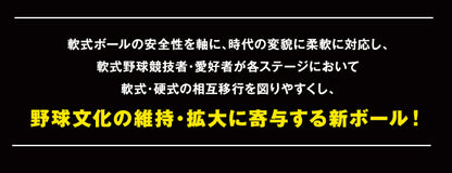 内外ベースボール 少年野球 軟式 公認球 J号 1ダース